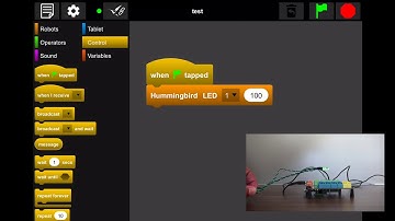 Using BirdBlox: Creating a Program