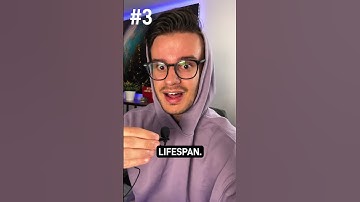 5 Wildest Google Hidden Secrets