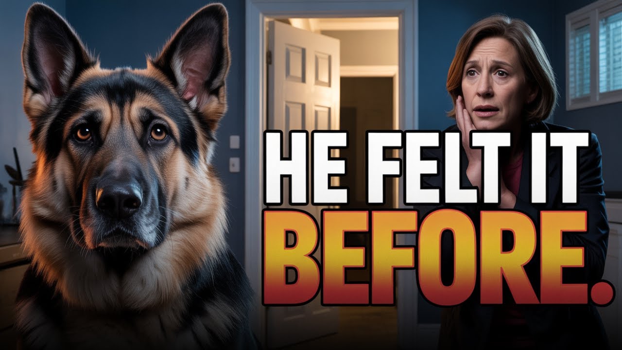 This German Shepherd refused to leave the room, and they soon found out why.
