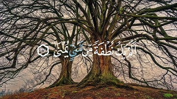 أيحسب الإنسان أن يترك  سدى🌺/قرآن كريم 🌺