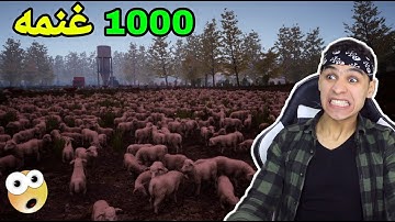 محاكي السوبر ماركت #11 || اشتريت اكبر كمية اغنام تشوفها بحياتك 😲 ! trader life simulator