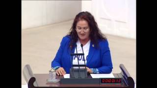 Sabahat Akkiraz Tbmm Gündemdışı Konuşması; 3. Köprüye Yavuz Sultan Selim Ismi Verilmesi