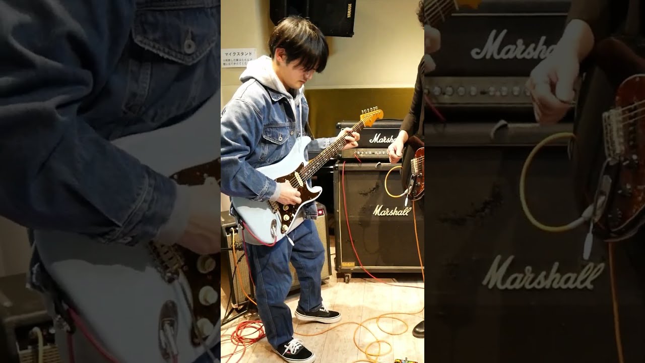Amazon | TC ELECTRONIC (ティーシーエレクトロニック) ギター用
