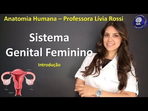 Vídeo: Diferença Entre Ascaris Masculinos E Femininos