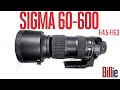 SIGMA 60-600mm f/4.5-f/6.3 SPORT REVIEW: A Great SPORT & WILDLIFE LENS Under $2,000.