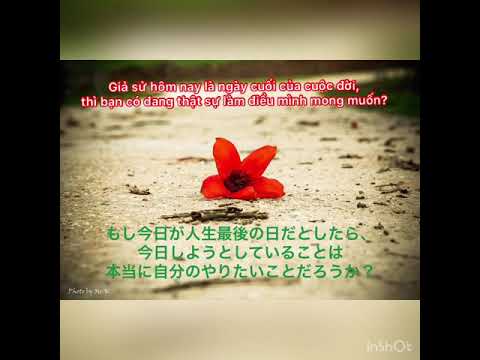 Video Nếu chỉ còn một ngày để sống. (残りの人生がたった1日なら) - youtube