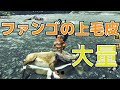 【モンハンライズ】ファンゴの上毛皮やジャグラスの上位素材を効率的に集める方法【MHRise】