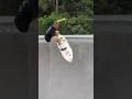 WHAATTT! 😂⁉️ Alex Chapin #skateboarding #reels
