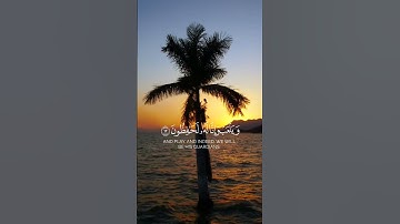 ما تيسر من سورة يوسف #quran #تلاوة_هادئة #المصحف #راحة_نفسية #سورة_يوسف #surah_yossef