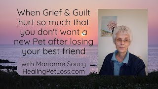 When Grief and Guilt hurt so much that you don't want a New Pet after losing your best friend