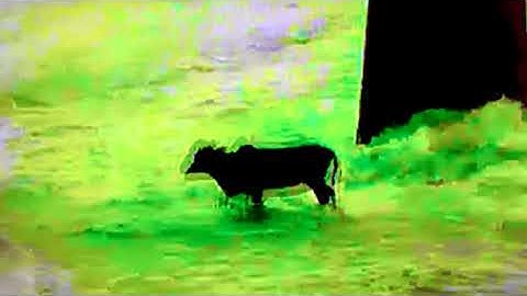 R.D. MAYSON - OB-6 Miniature No. 49