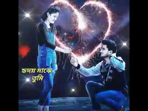 WhatsApp status