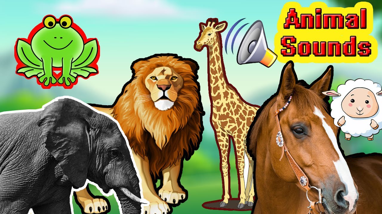 Animal Sounds For Children Farm Animal For Kids Forest Animals Names animal-sounds-for-children-farm-animal-for-kids-forest-animals-names