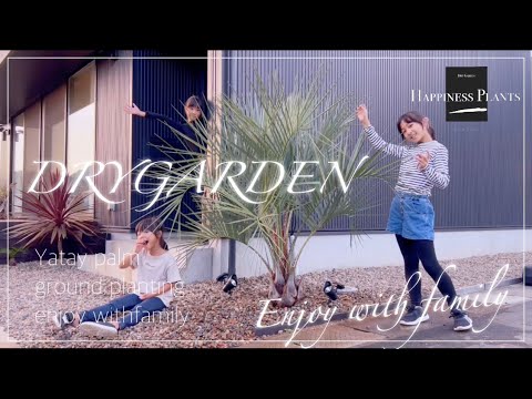 ドライガーデン】マイホーム 庭 ココスヤシ地植えしてみた！！ DIY