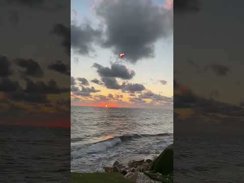 قليل الحيله وبعانى مهو انتى تملى وحشانى 