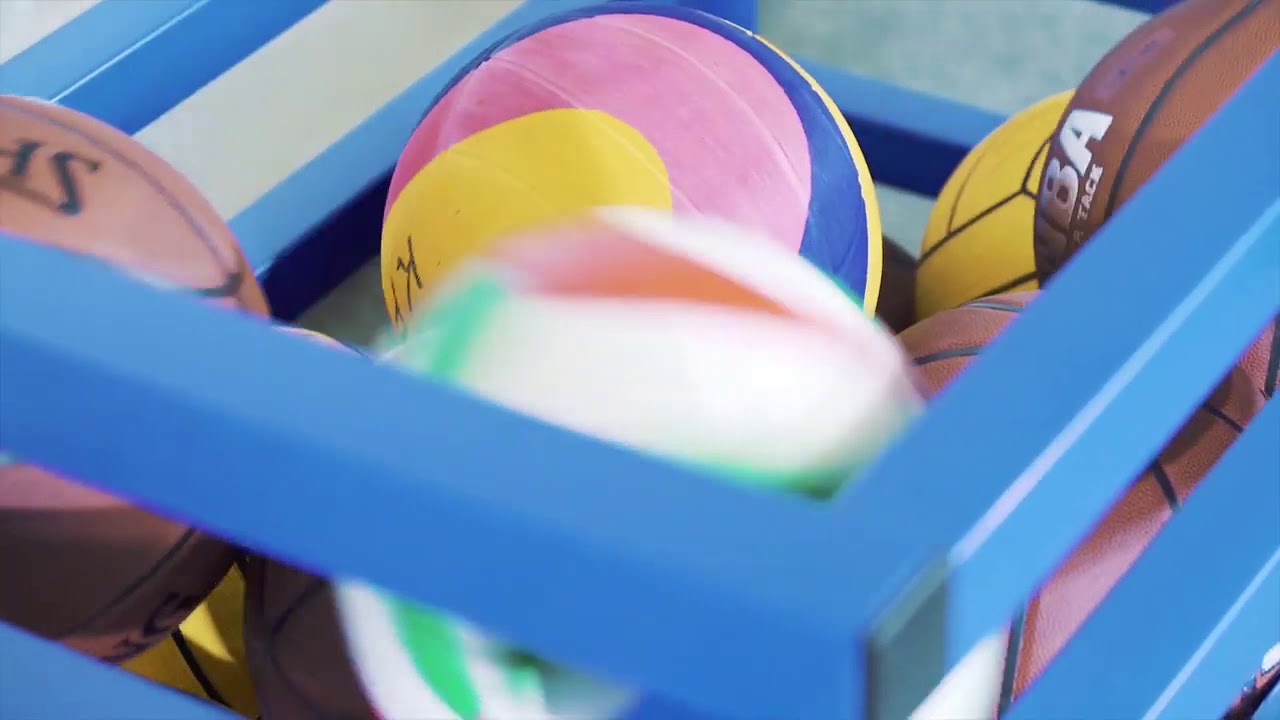 VENDIPLAS Trolley for balls TDS Ballvogn