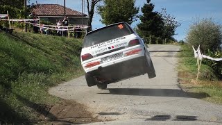 Best of Renault Clio Williams Gr.A | RALLY TRIBUTE VOL.7!
