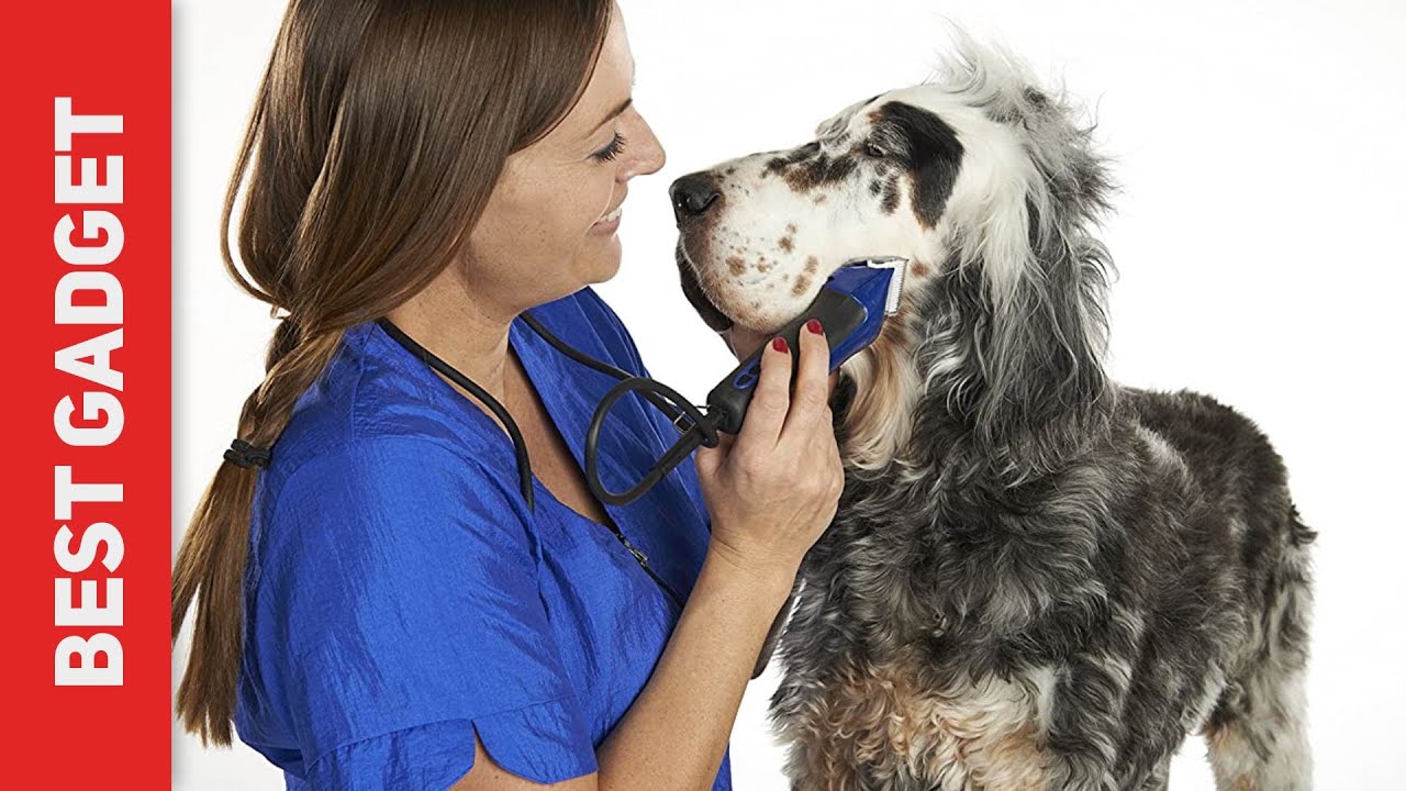 Andis Excel Pro-Animal 5-Speed Review - The Best Dog Clippers in 2022