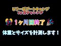 アラフォー主婦！ビリーズブートキャンプ3ヶ月チャレンジ！1ヶ月目終了の体重測定！