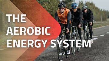 Learn the Aerobic Energy System!