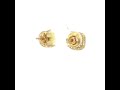 Video: 10Kt Gold Cz Earrings