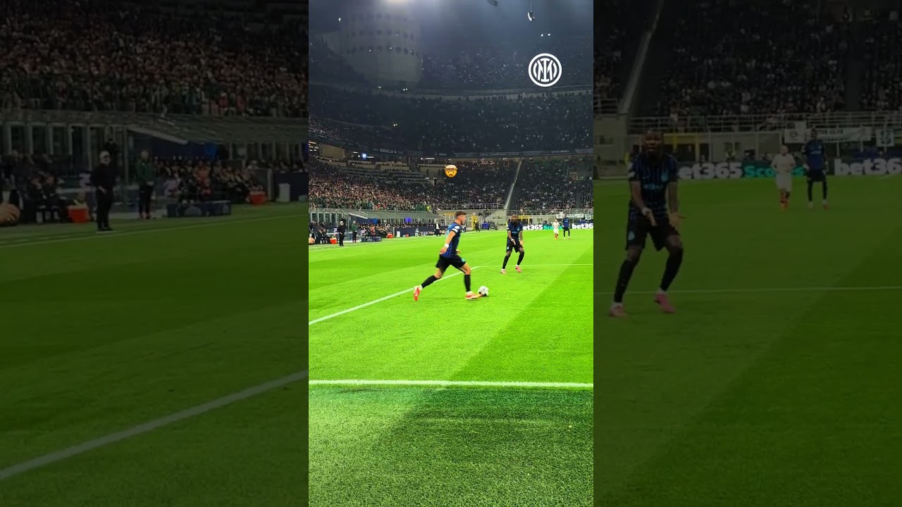 Sučić sorcery 🪄 