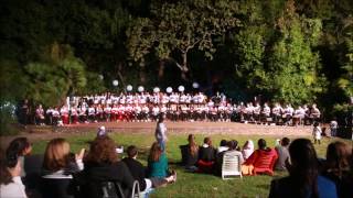 Marimba Jam Festival Mass Item (Oceans)