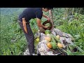 Harvest crops, Survival Instinct, Wilderness Alone | Thu hoạch mùa màng (ep129)