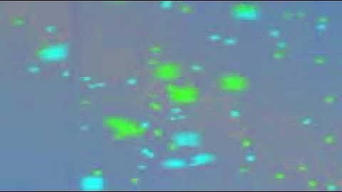 سورة الغاشية بصوت الشيخ القارئ محمود خليل الحصري