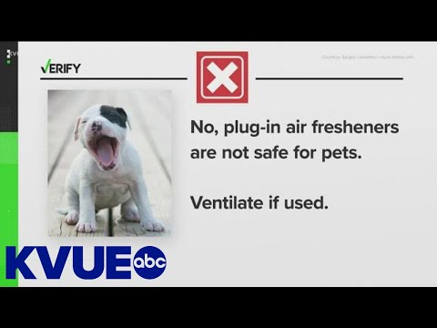 What Plug in Air Fresheners are Safe for Dogs  