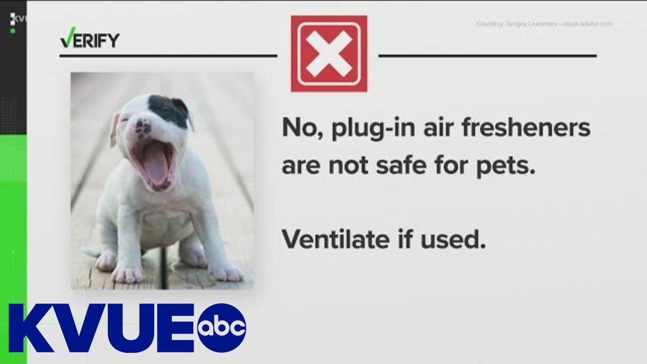 Verify: Are Air Fresheners Safe For Pets? | Kvue