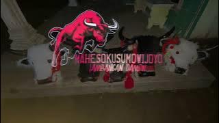 dj bantengan ❗ beres kerong ❗❗maheso kusumo Wijoyo ❗❗gento remikser team mberot