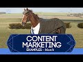 Best Content Marketing Examples - March 2016