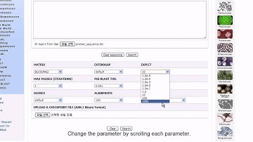 Virus Sequence Database Video manual : PSI-BLAST