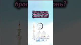 Исламские вопросы #ислам #аллах #пророк #мухаммад #мусульман# #пророкмухаммадﷺ #тест #ответы #