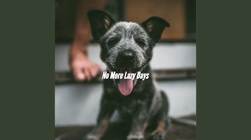 High Class Music for Amusing Days