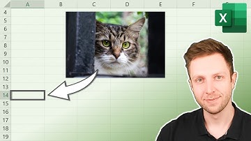 BILDER direkt IN Excel ZELLEN einfügen (zwei Methoden)