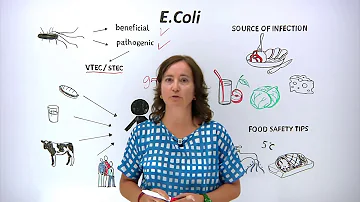 ¿El vinagre desinfecta la E. coli?