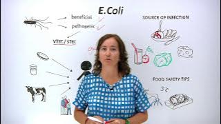 What is E.Coli? What can you do to protect yourself and others?