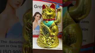 “🔥 Acupressure Shop Tour | Full Pain Relief Tools Demo 💪”