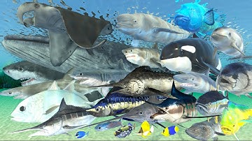 Fish Swimming Speed Comparison in 3D Animation | Realistic World Data