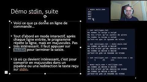 SE C# 1   Programmation système