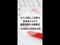 学年末テストで高得点取れる勉強法 #100点塾 #shorts