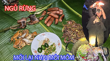 NGỦ RỪNG, TÌM THẢO DƯỢC, MỒI LAI RAI - AE THỢ NÚI