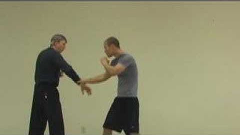 Wang Shujin Bagua Zhang: #11b "Hawk Swoops Upward Apps"