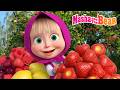 Masha and the Bear 2026 🍋🍓Why Should We Eat Fruits? 🍍🐺 Best episodes cartoon collection 🎬