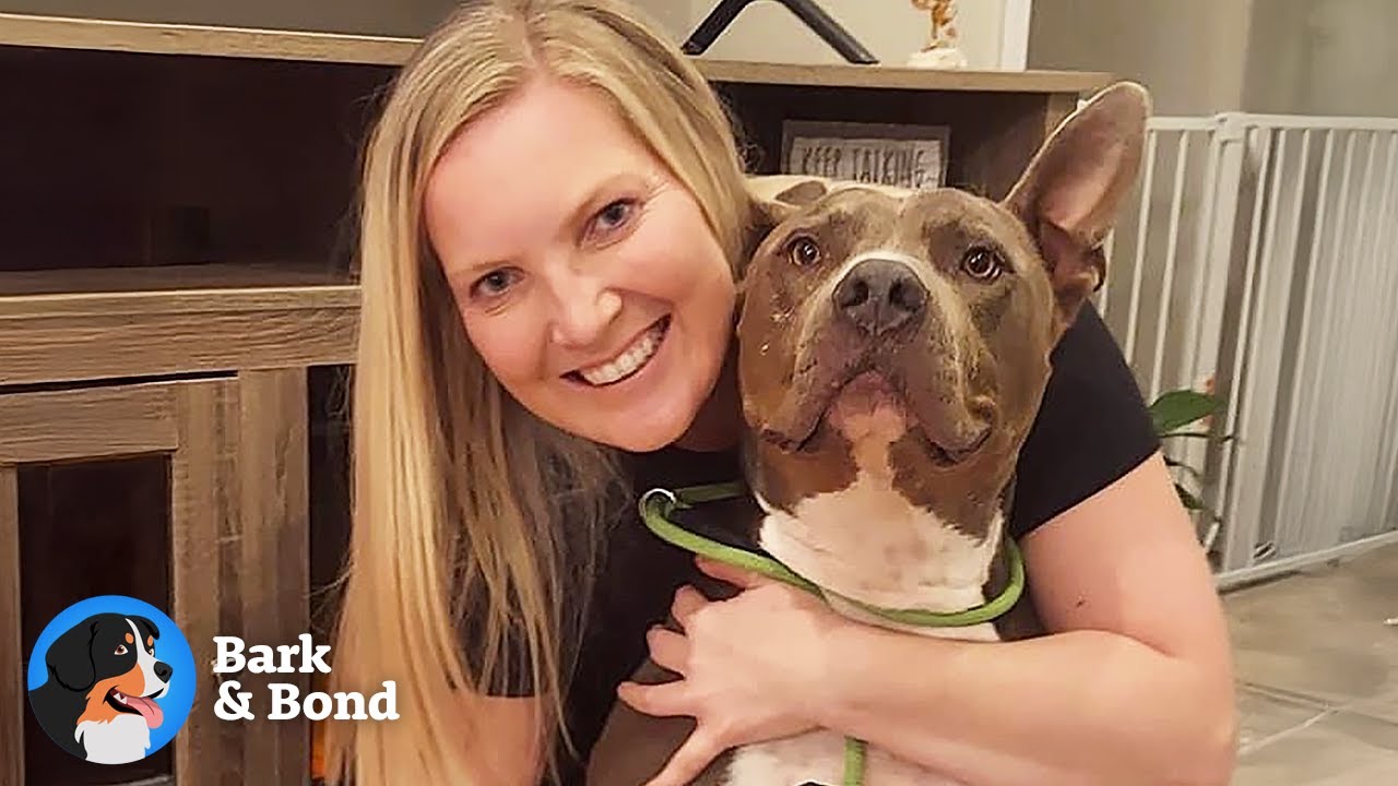 The Dog That Never Had Anyone to Trust... Until He Found Someone Who Stayed | Bark & Bond