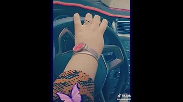 لو يرجع الزمان 
