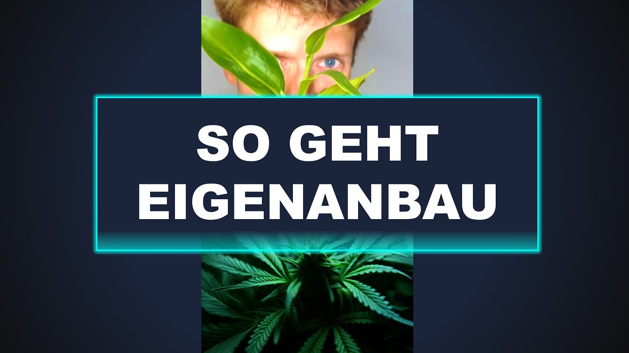 Das richtige Equipment für deinen perfekten Cannabis Anbau. Low Budget.