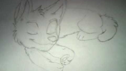 Fennec Fox Drawing, READ DESCRIPTION